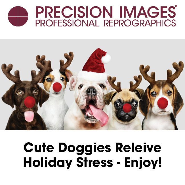 PrecisionImages's tweet photo. Because sometimes doggies are what you need to see. https://t.co/NooAVwXzrm