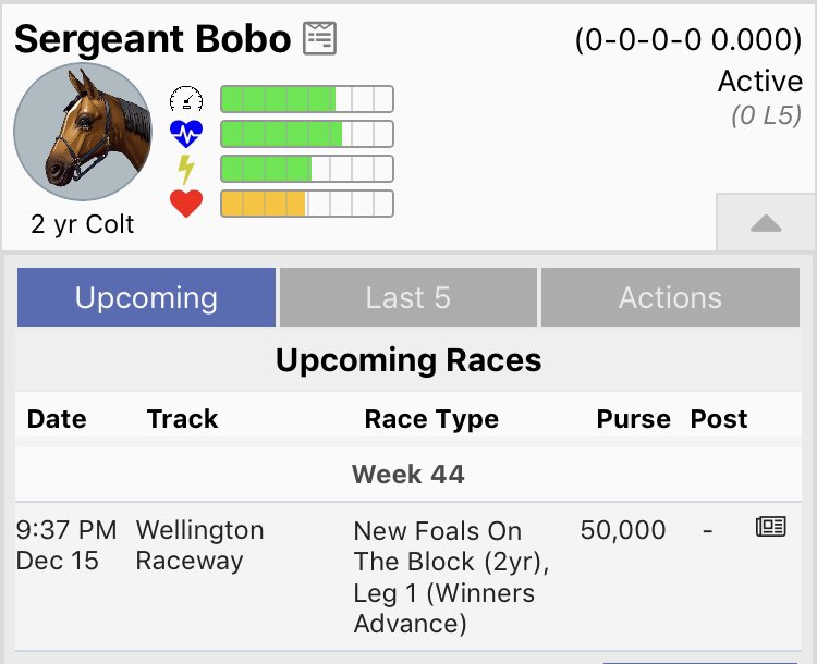 Offers for new foals tonight?? <a href="/AndPacing/">Off and Pacing</a>