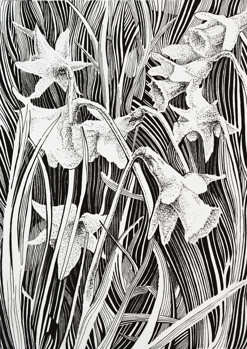 Ivanna Shmeleva tweet media