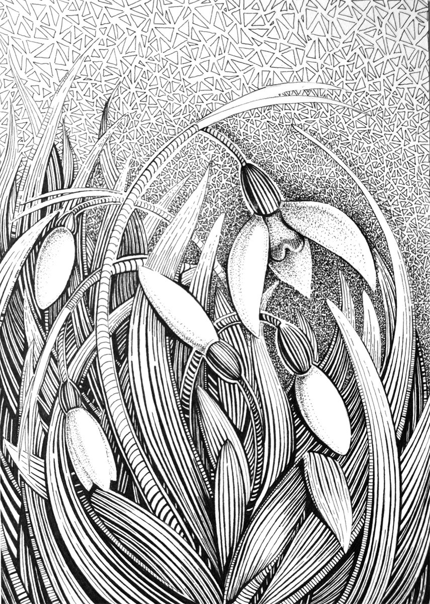 Ivanna Shmeleva tweet media