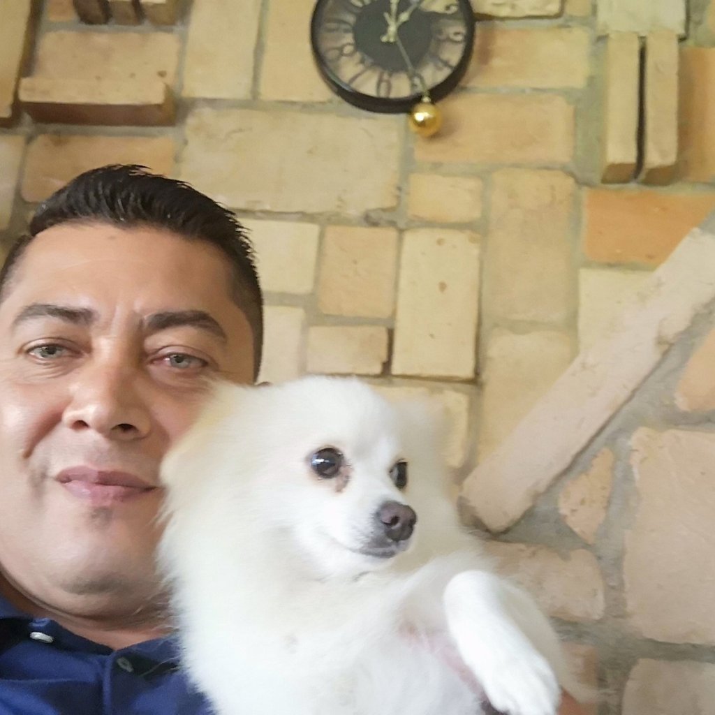 Las navidades también son hermosas cuando disfrutamos con nuestras lindas mascotas. Roko y Kiara.