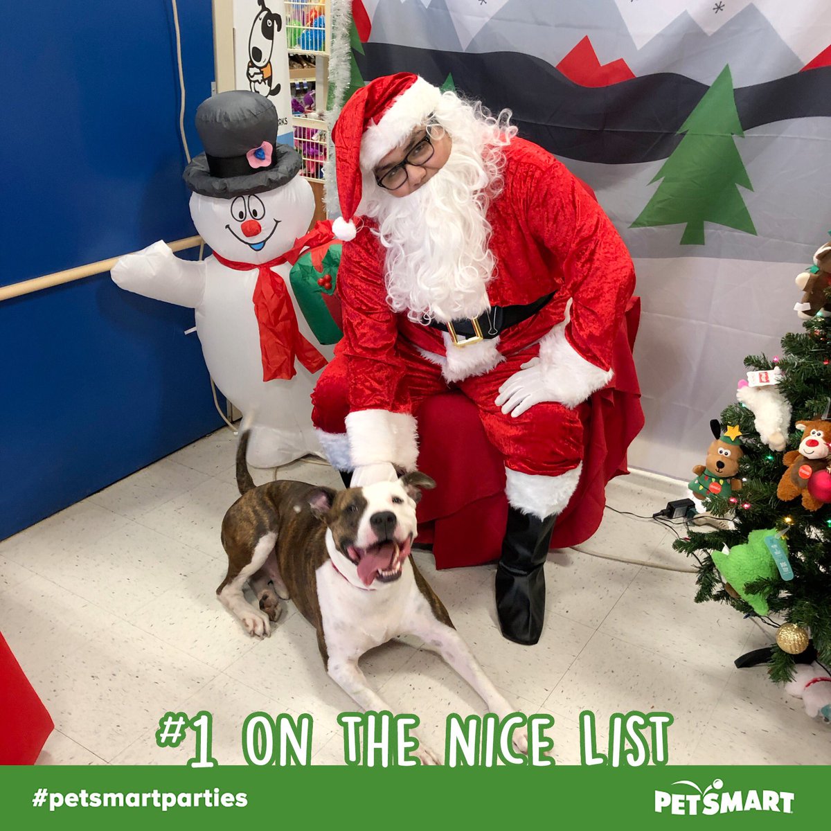 PetSmart 290/Tidwell tweet media