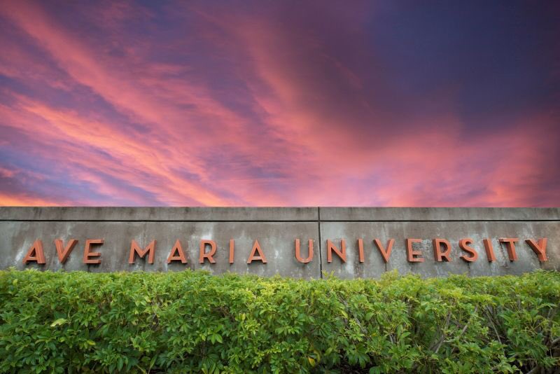 JimmyStorey4's tweet photo. Blessed to have received an offer for football at Ave Maria University!🔵⚪️🙏🏼🏈#GoGyrenes #DawgPound @AveMariaFBTL  @JoePattersonAMU @CoachVanHeusen https://t.co/4EeIjh4UPL