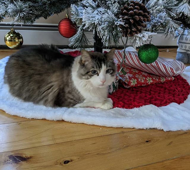 Sandy Hogan tweet media