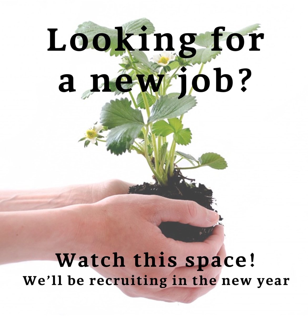 DalesidePlants's tweet photo. https://t.co/FY0PnJc0Za
