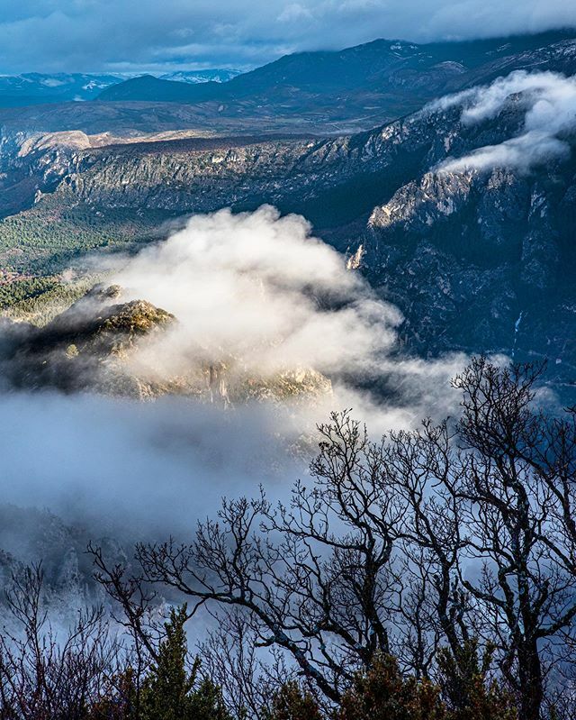 TourInProv_App's tweet photo. Le #grandmargès  envahi par la brume #rando #verdonexperience #hautvar #verdon #gorgesduverdon #var #provence #vartourisme #regionsud #var #nature #landscape #verdongorge #france🇫🇷 #visitvar #tourinprovence https://t.co/5DtjZSSe3t https://t.co/jRv0bxsUYm