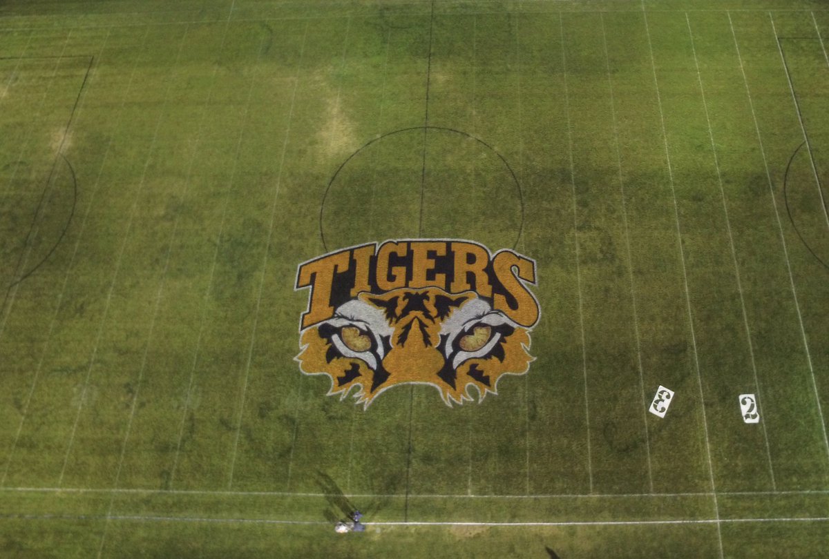 nathan bishop tweet media