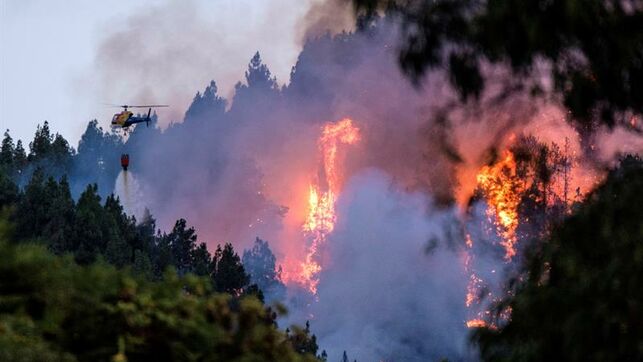 Cahora's tweet photo. 🔴🔴👉👉 #EXCLUSIVA La Fiscalía ya investiga a la Heredad de Aguas de Arucas por originar el gran incendio de agosto en Gran Canaria #IncendioGC #Canarias
https://t.co/WTWgU60u6N https://t.co/ySdcfnhNE7
