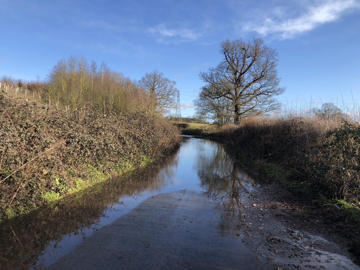 Sunniethehoob's tweet photo. Lots of under water hang gliding today. We are now asking for safety gear - life jackets & snorkels we think.
#toddyshug #bemoretoddy #twecckle #lecolchallenge #rawvelo https://t.co/OfsuJlvd5y