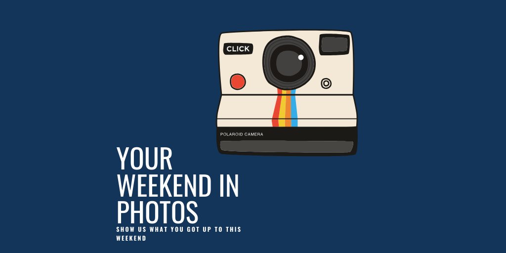 Moaning Cow Corporate Massage & Wellbeing tweet media