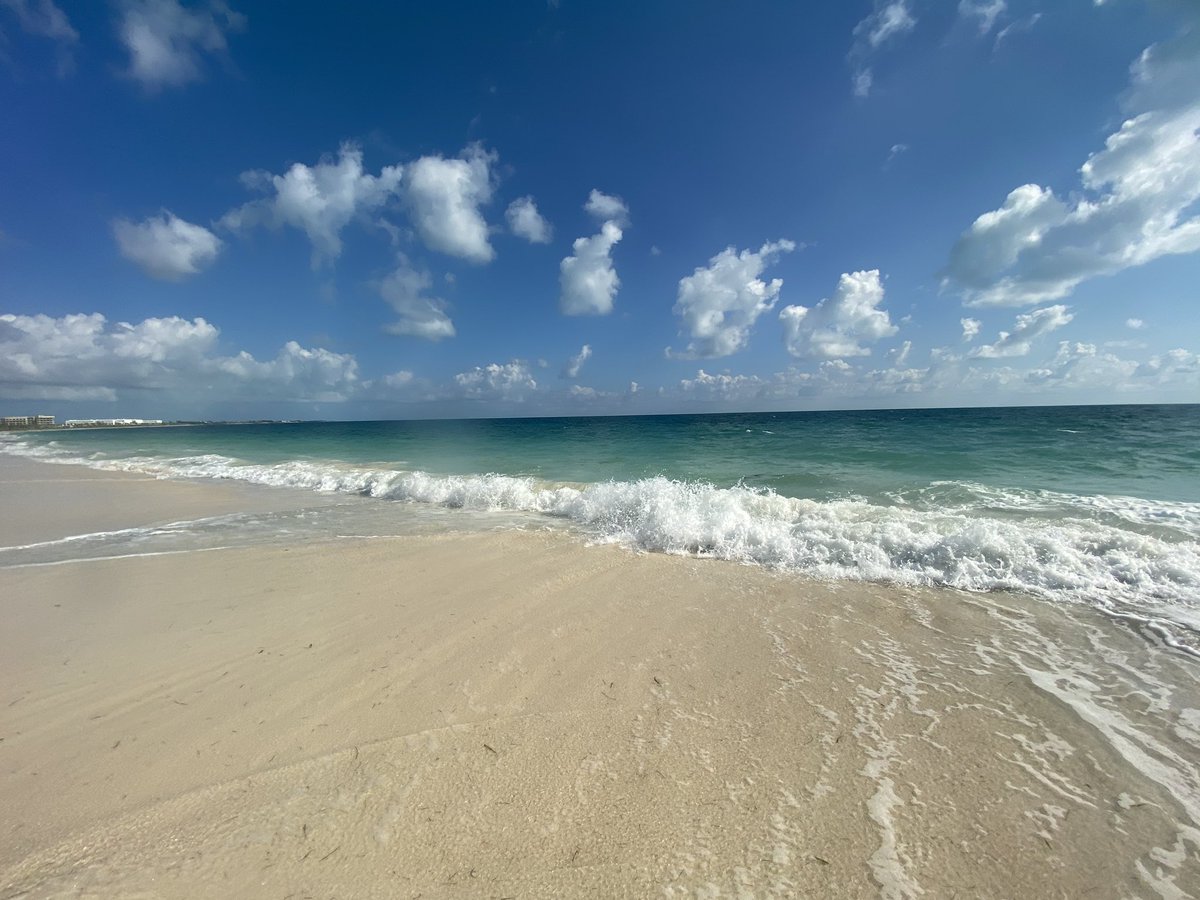 Catherine Woods tweet media