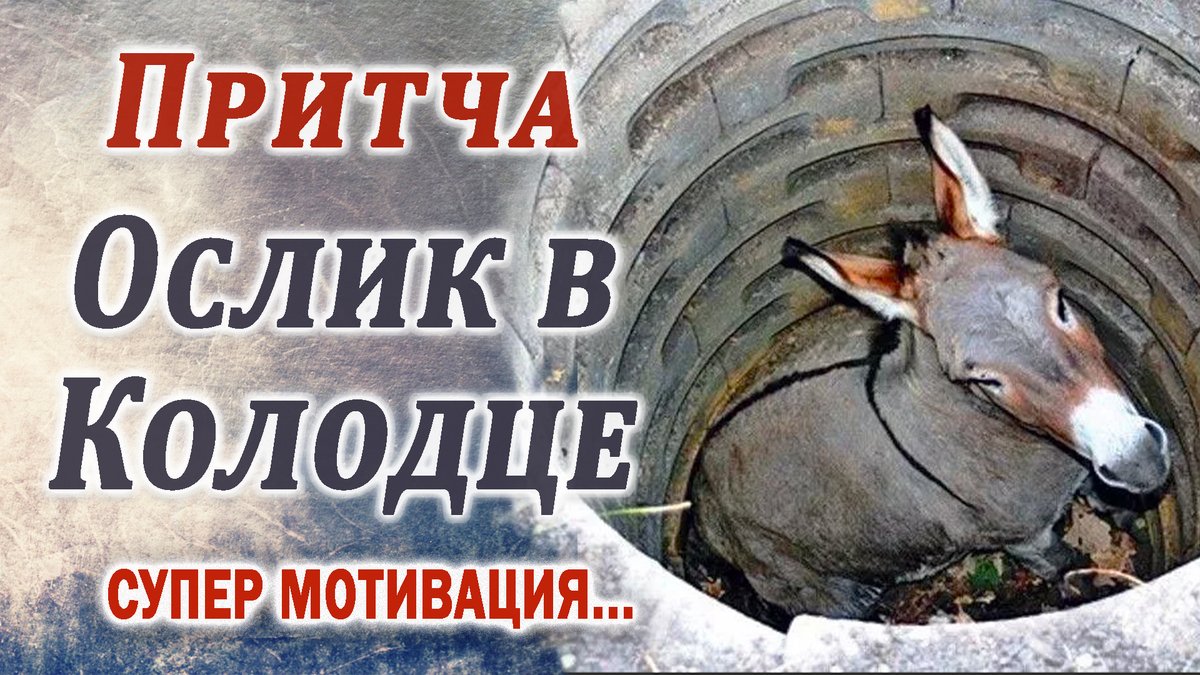 ОСЛИК В КОЛОДЦЕ | МОТИВИРУЮЩАЯ ПРИТЧА | НИКОГДА НЕ СДАВАЙСЯ И БОРИСЬ ДО КОНЦА! - youtu.be/i4K8eyLPqdo - даже несмотря на то, что может казаться что шансов на благополучный исход будет ноль ... #притча #мудрость #ПРИТЧИ #wisdom #мудраяпритча #ослик #мудрыйосел