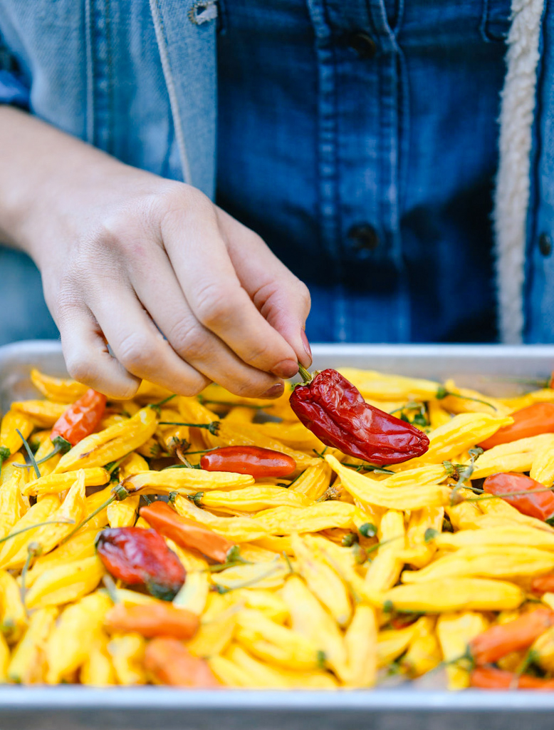 Fresh chili peppers are popping up all over the Farmer’s Market, and we love the heat they bring to all kinds of dishes. Don’t be afraid to give them a try and add them to everything from Mexican favorites to Indian curries.