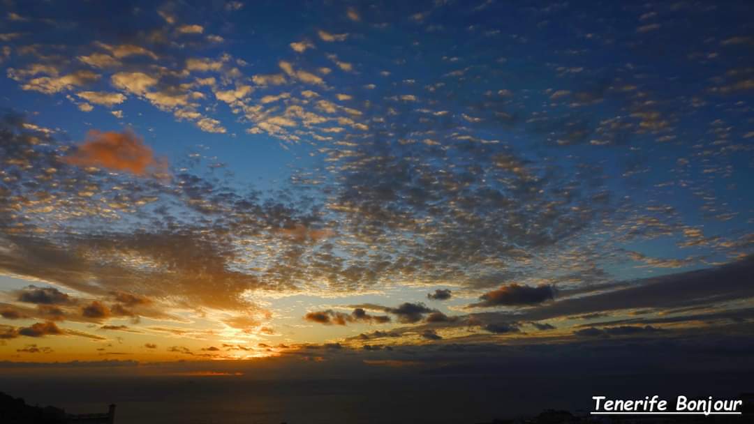 TenerifeBonjour tweet media