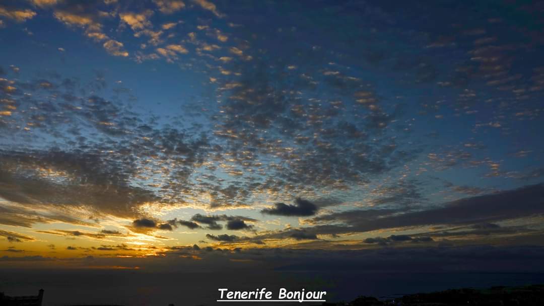 TenerifeBonjour tweet media