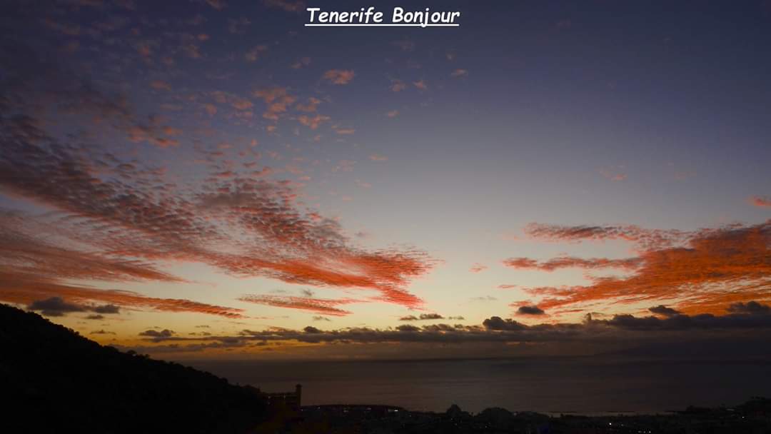 TenerifeBonjour tweet media