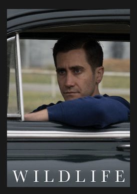 ClaireAddicott's tweet photo. My favourite film on @netflix is that one where Jake Gyllenhaal is looking v. concerned into the distance. https://t.co/KYiyrqOCVj