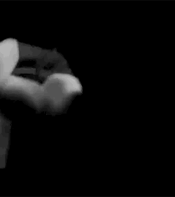 best of harry. (@theharrylibrary) on Twitter photo 