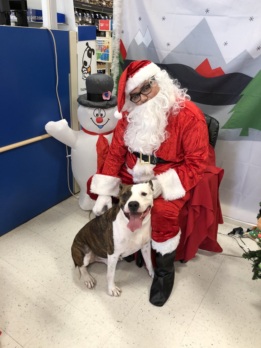 PetSmart 290/Tidwell tweet media