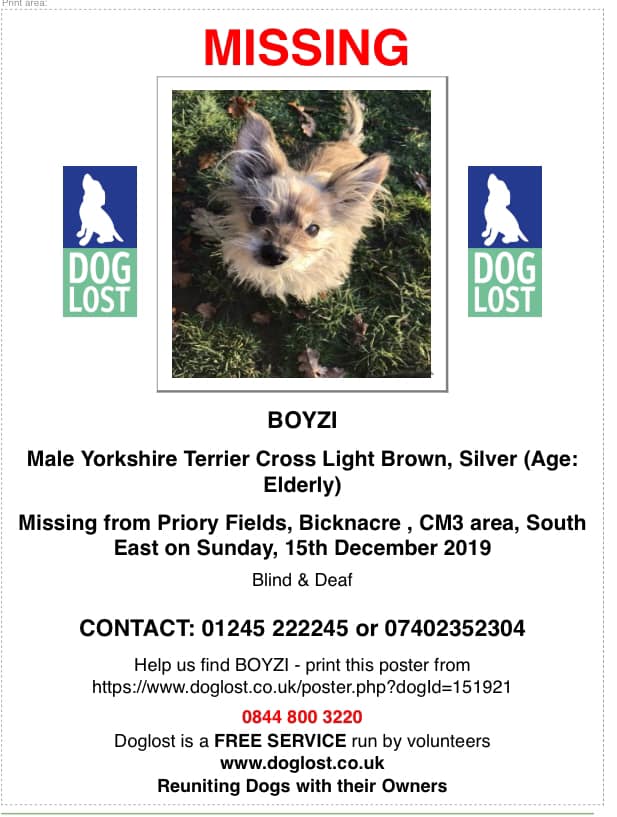 gelert01's tweet photo. 🔴CODE RED🔴URGENT 16YR DOG MISSING Blind &amp; Deaf🔴

#BOYZI Male Yorkshire Terrier X 15/12/2019 

#Priory #Fields #Bicknacre

🐦Plis RT to help find #BOYZI🐦 https://t.co/Ka4X8Ne49y