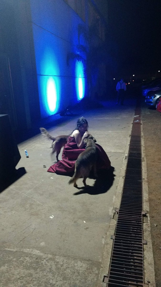 aguscusolito's tweet photo. mi mamá: agustina no podés mimarle a cada perro que veas por la calle

yo con cada perro que veo por la calle: https://t.co/vzXlHqCwAF
