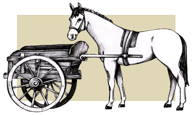 Called2Blessing's tweet photo. Placing The Cart Before The Horse https://t.co/iN1K8etG2R https://t.co/v0LSA0i9lc