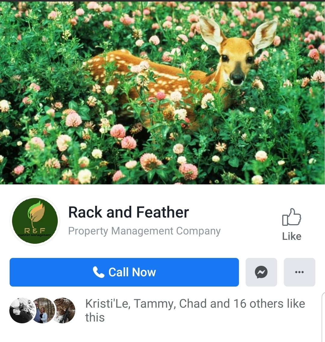 HunterCounty's tweet image. Hey guys! Head on over to Facebook and give Rack and Feather a like! A Twitter page is in the works!!
#newbusiness #habitatmanagent #Minnesota