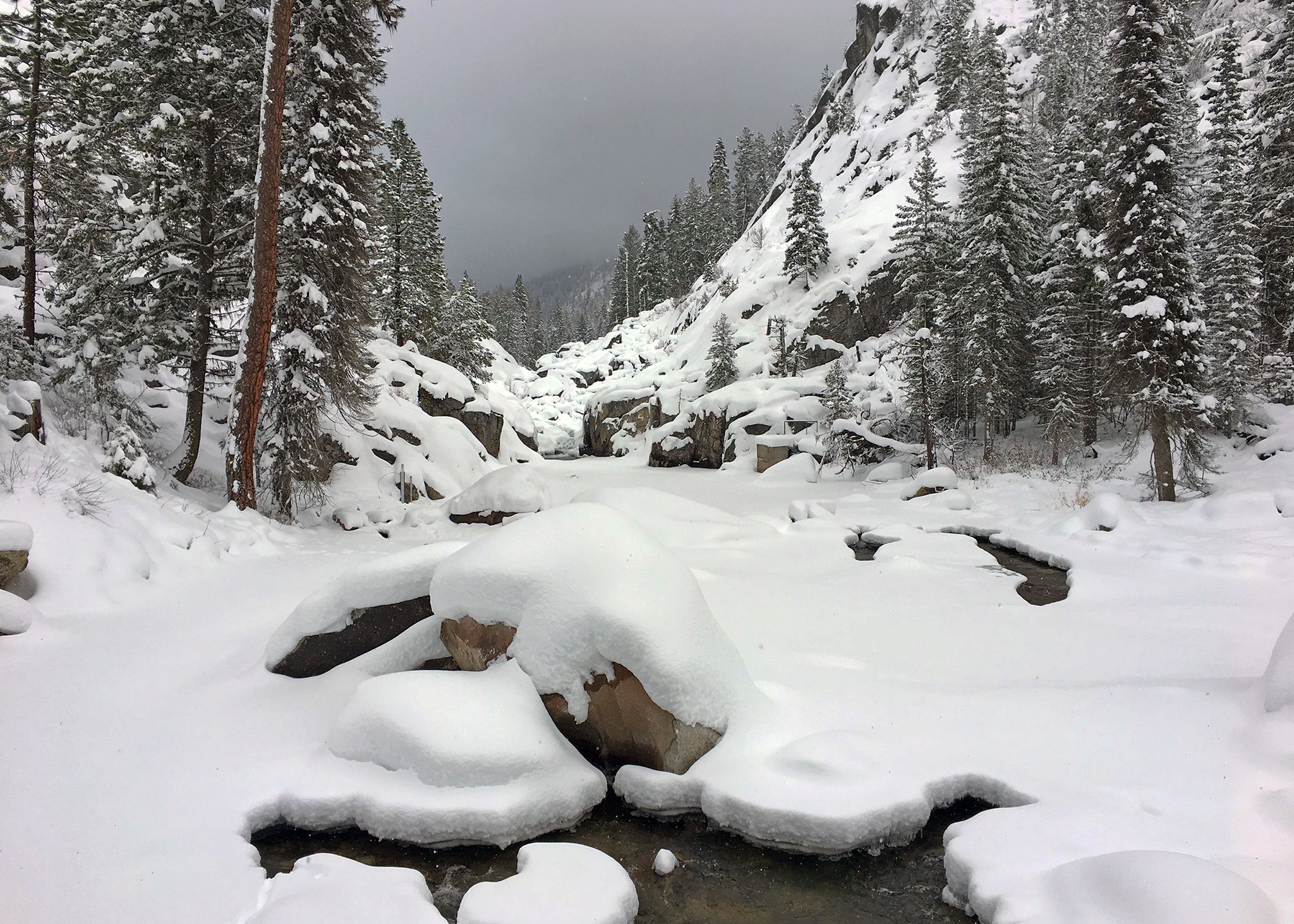USGS in Idaho on X: Let it snow, let it snow, let it snow! Lake Fork  Payette River near McCall, #Idaho: t.cosCaQfbmE3t  #12GagesOfChristmas t.cocSAiks1NU0  X