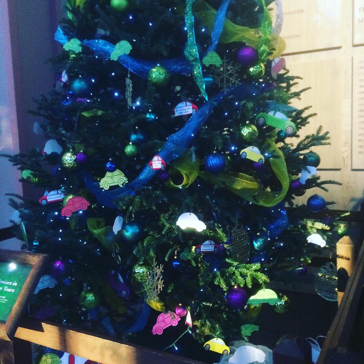 RachnaDar's tweet photo. Christmas trees decorated for Christmas. So cute and very beautiful. Different items on trees. Children happy to see it. #picoftheday #sundaythoughts #christmastrees #beautiful #cute #decorated #differenttypes https://t.co/DY4eGVWWO6