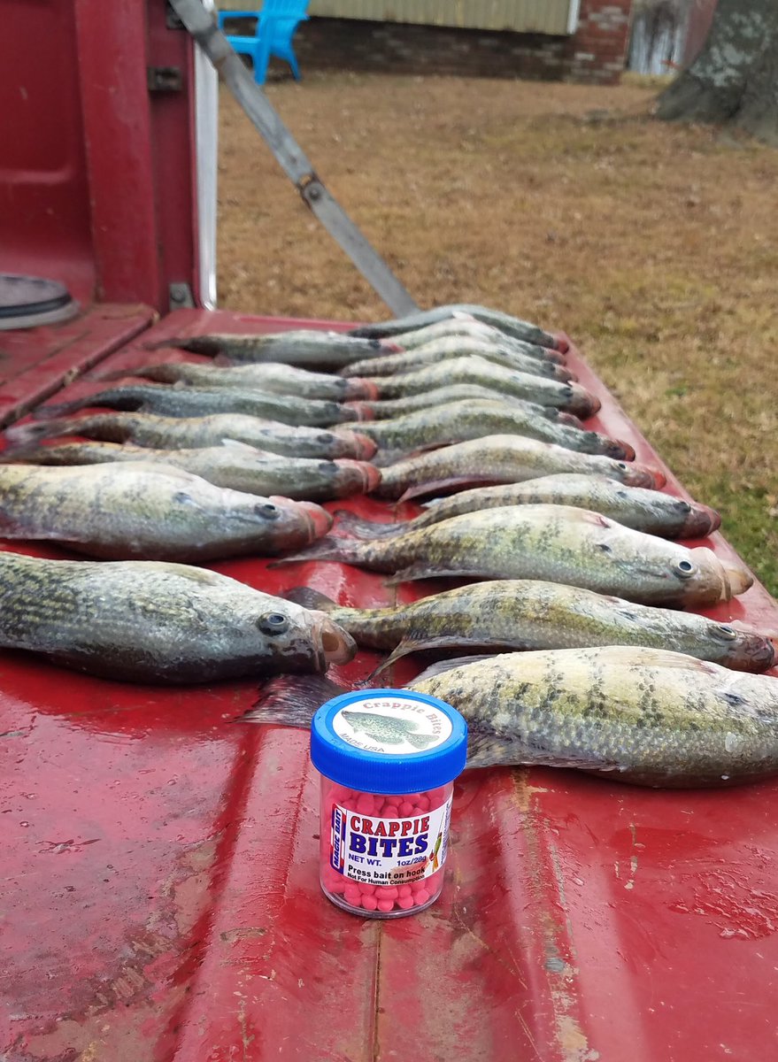 Magic Bait Co. tweet media