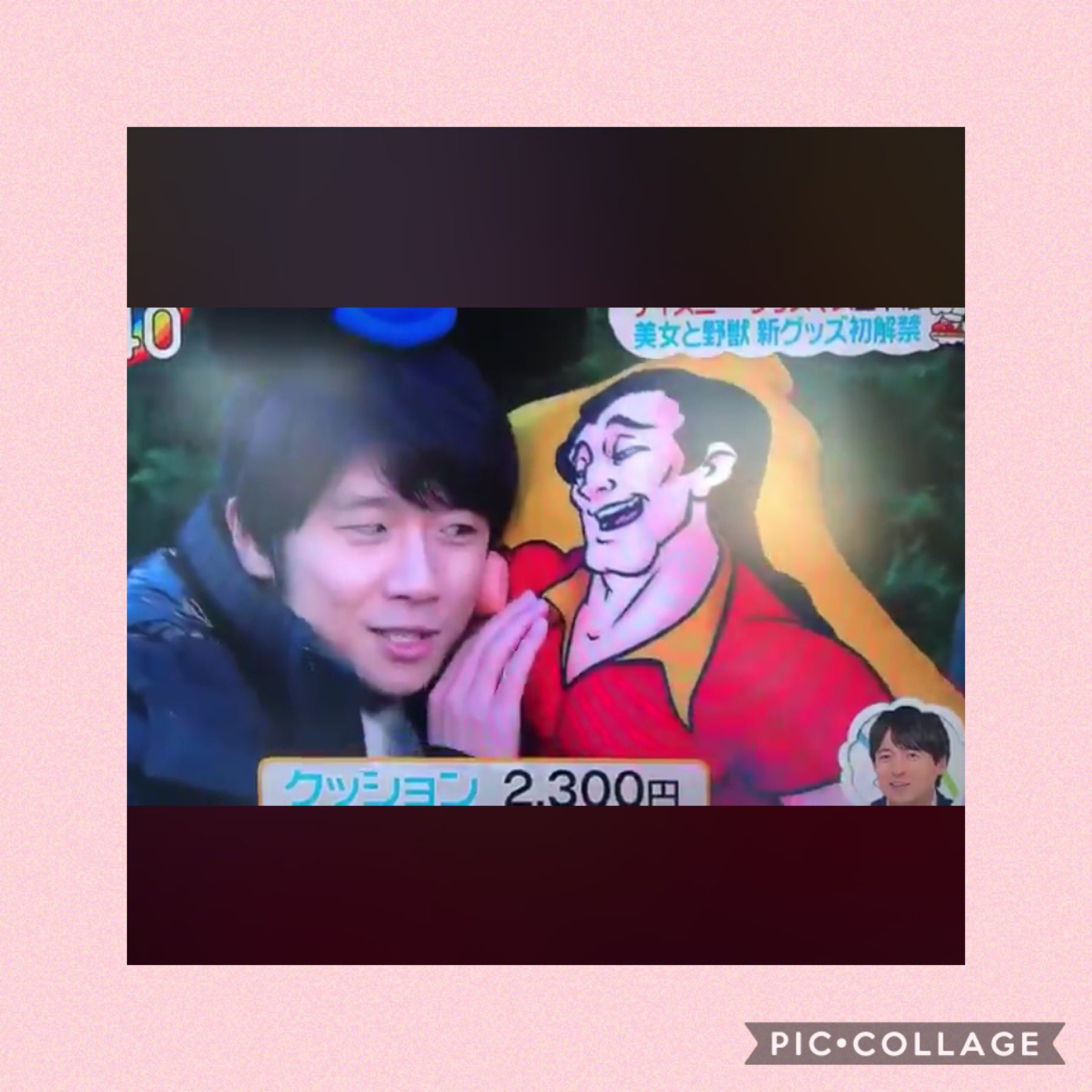 さくらあいら 誰か今日のzipディズニー特集録画してたら動画あげてくれー 見逃した 新グッズのガストンの腕枕クッションウケるww Zip ディズニー特集 風間くん T Co N5jcbzzvqp Twitter