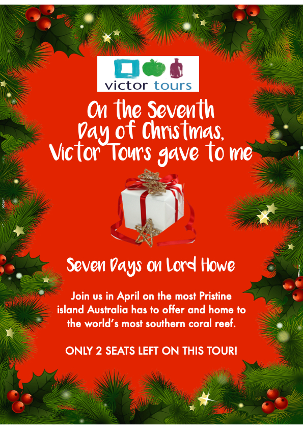 VictorTours's tweet photo. On the 7th Day of #Christmas... #VictorTours gave to me...7?
"6 Wines for tasting"
"5 DAY GLAM TOURRRRS"
"A 4 Wheel Drive Bus" 
"3 Days at Christmas
"2 Mystery Tours"
"and a Charismatic Coach Driver"

https://t.co/UoAZFGgmMU
#lordhowe #victorharbor #coachtour #travel https://t.co/oNj2TO3xqo