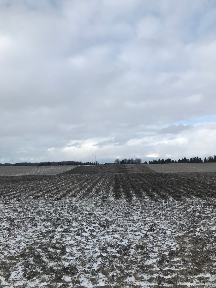 TheWholePig's tweet photo. #corn #harvest2019 complete, Garlic #planting2019...still working on it.  This is where optimism comes in.   Even though we are late as the dickens for harvesting &amp; planting the winterish night allowed for some nice photo ops with the corn combine. @OntarioFarms @AgMoreThanEver https://t.co/3LvfDXUhCQ