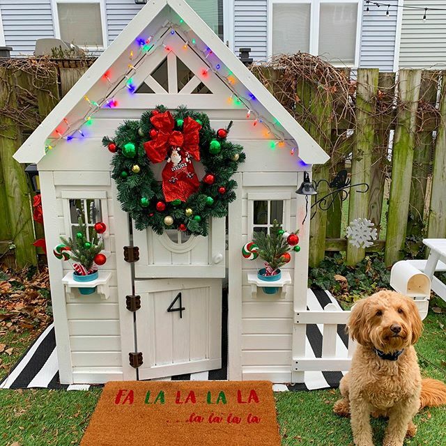 SANTA! Oh my God! Santa, here?! I know him! I know him! ❤️💚🎅🏻🐾 #merrychristmas #mostwonderfultimeoftheyear #christmasdoodle #chicagodoodles #goldendoodlesofinstagram #minigoldendoodle #santa #falalalala #playhouse #elfhouse ift.tt/35rlLPF