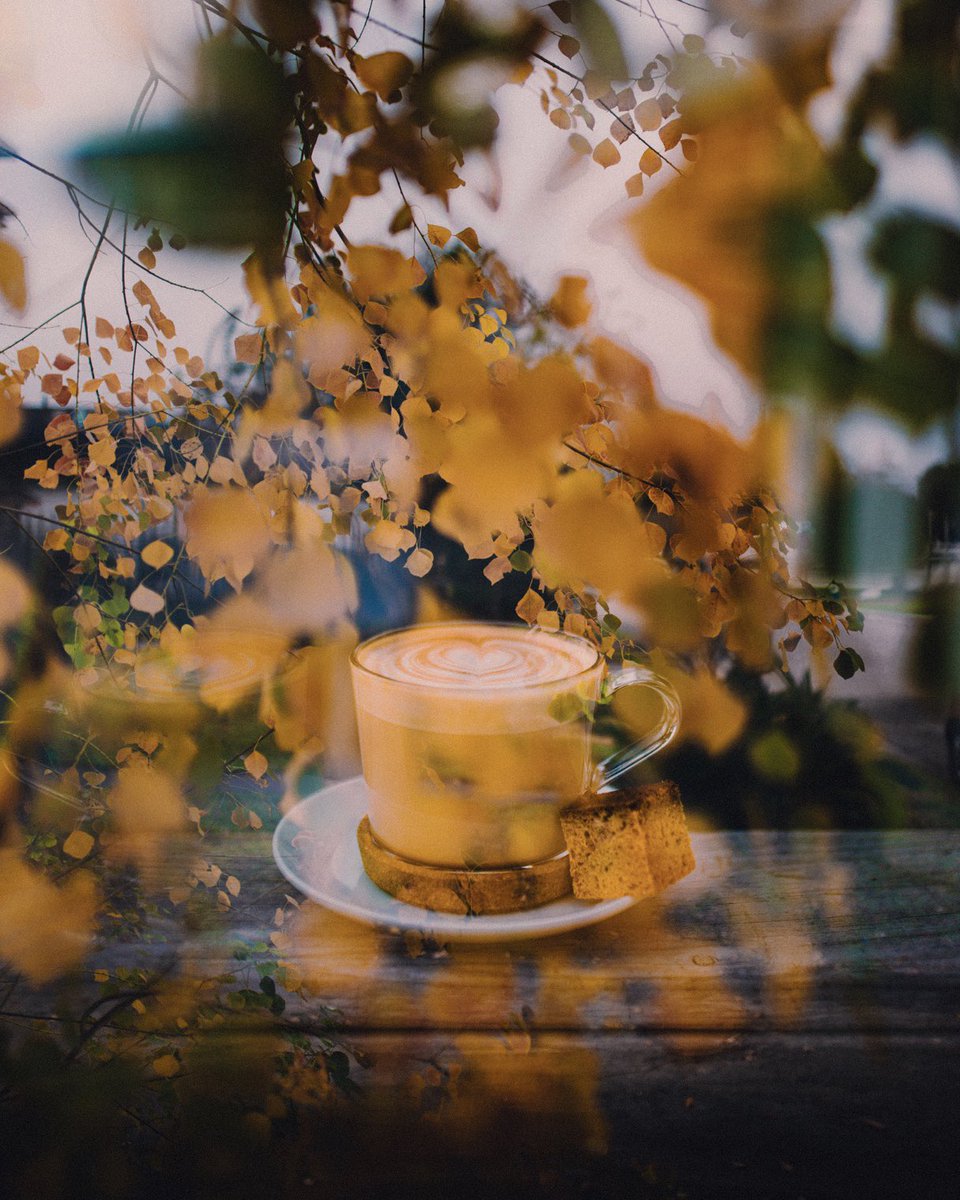 Jonathan tweet media