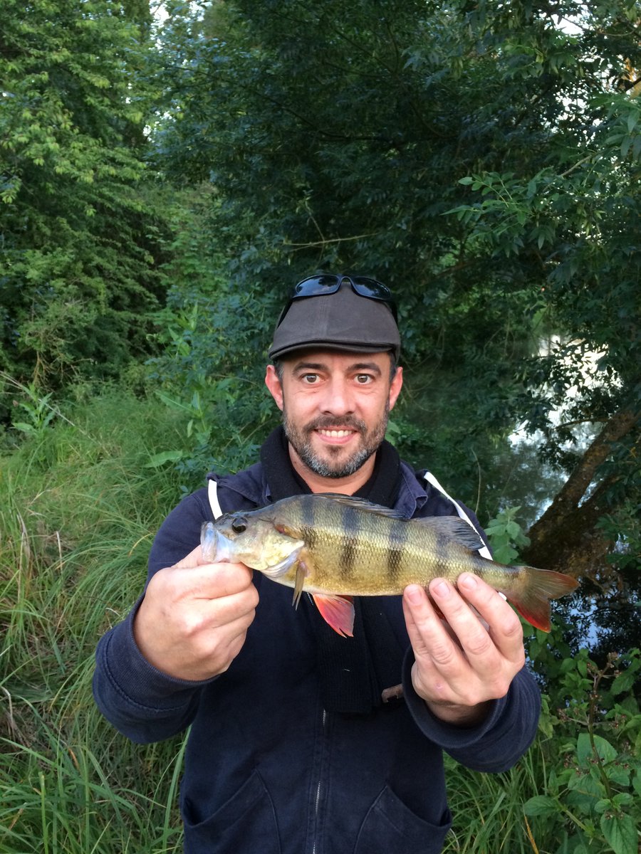 LeBatard107's tweet photo. Derniere Session de l'année, Merci dame nature...@nokill @abientot 4 record cette année #esox #achigan #perche #aspius #highlights https://t.co/K09lm6QH9Q
