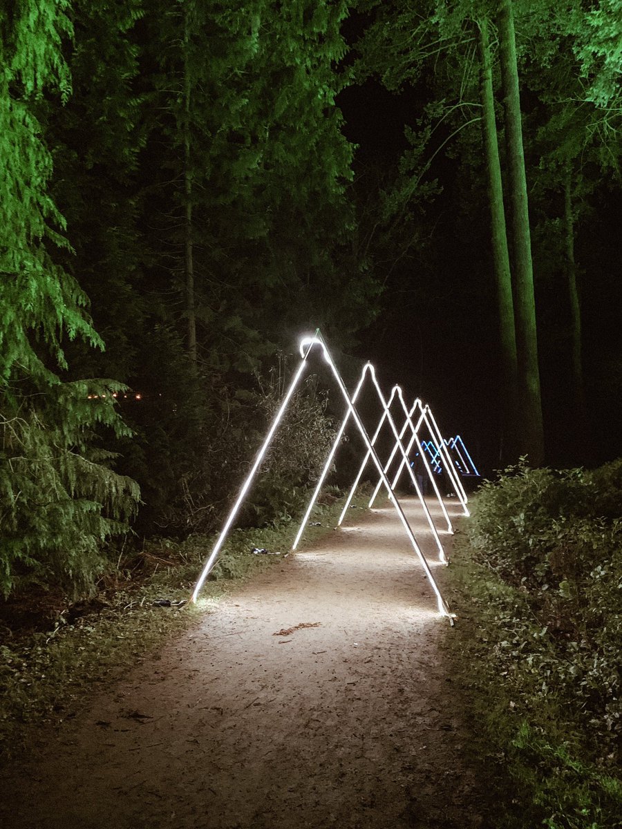 Had a fab night at Enchanted @Belsay_Hall. Definitely feeling very festive now. 🎄