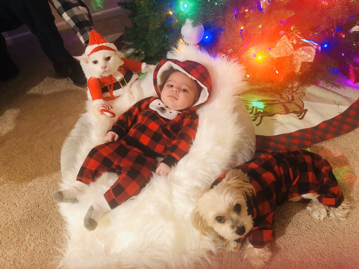 Tiffany Martin tweet media