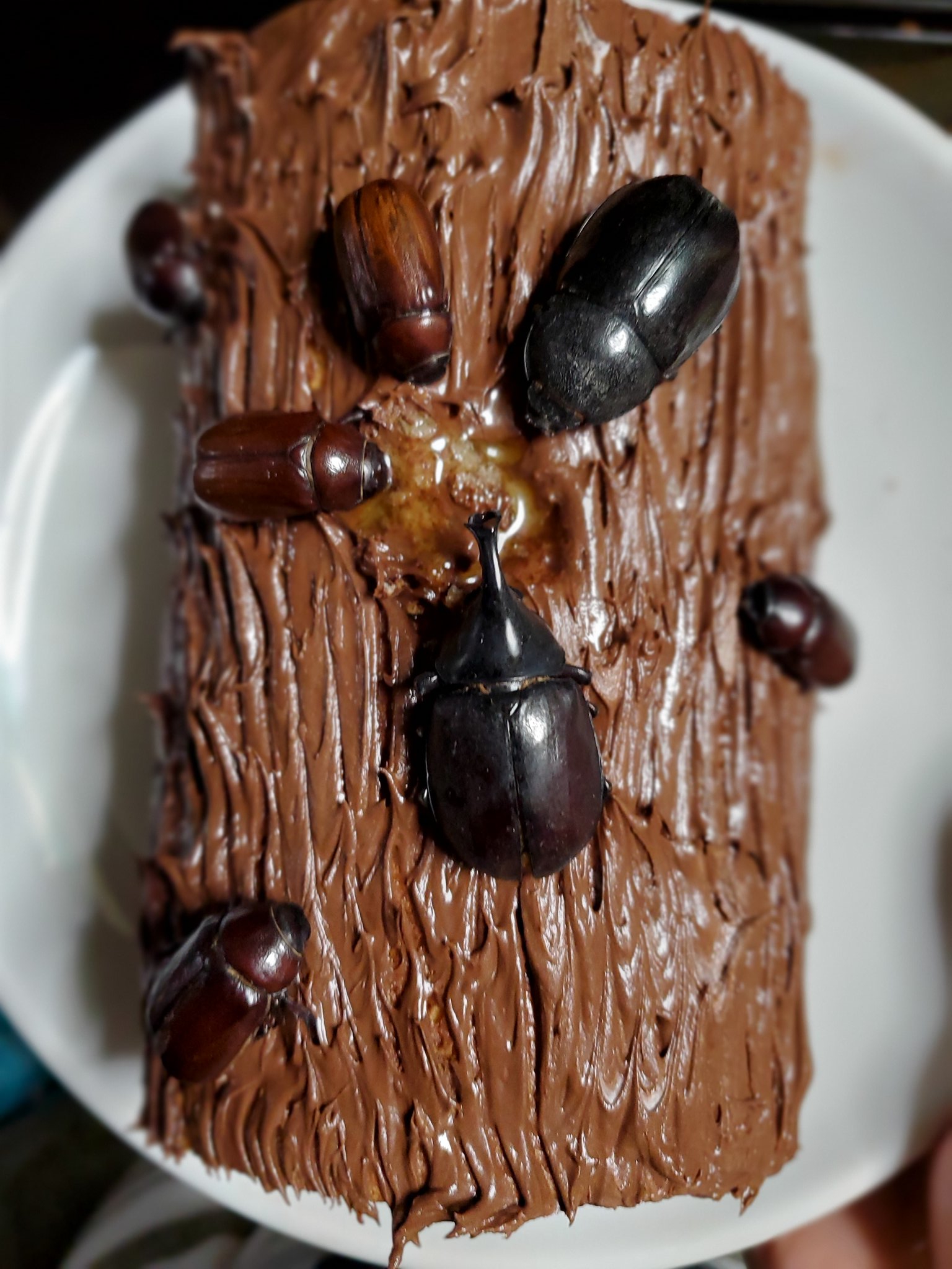 バーロー もうすぐクリスマスなんでブッシュドノエルを作りましたー 料理名は 樹液に群がる夏の甲虫ブッシュドノエル です W 昆虫食ショップで買った本物のカブトムシとカナブンを使ってます バーロー食レポ T Co Rtjk2uxgl2 Twitter