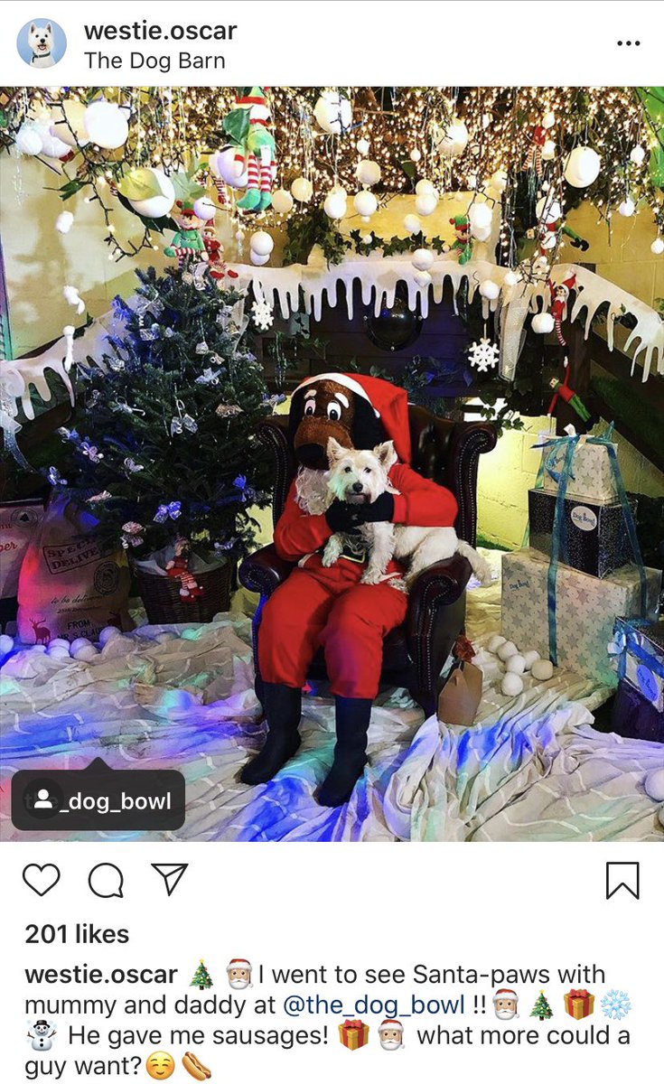 The Dog Bowl Deli Dogdeli Twitter