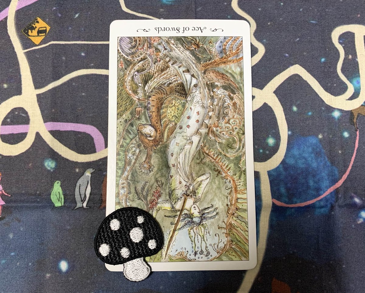 12 16の アドバイス カード ソードエース 逆位置 なんかやる気出ないなぁとモヤモヤするかも 自分を否定せずゆっくり動くのが 小休憩しながらいこう Kinoko占い 占い タロットカード タロット占い 今日の運勢 恋愛 仕事 転職 相性 婚活 悩み 月曜日