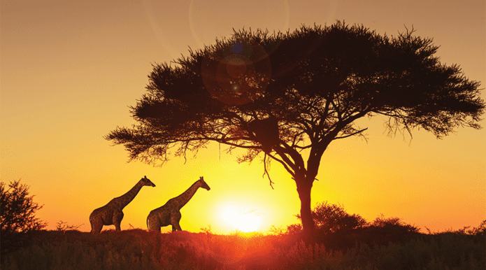CruiseExpress's tweet photo. Our fabulous October 2020 African in-depth land cruise holiday was featured in Traveller: https://t.co/Xr2kygFaL6 via @TravellerAU https://t.co/HNgOZPO8vb