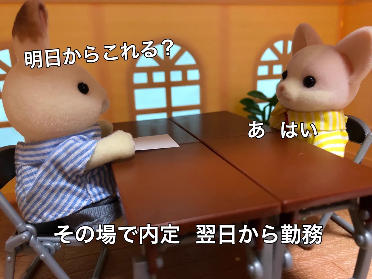 大人の知るバニアで学ぶ、要注意な会社の特徴