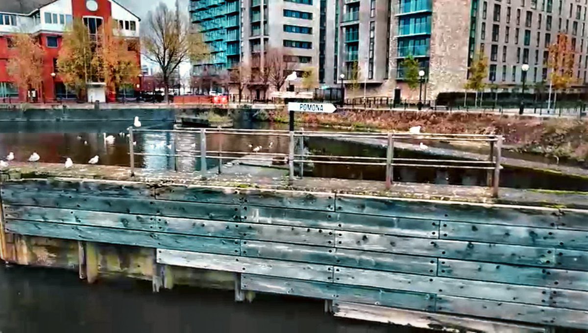 iammarkomar's tweet photo. Bird world #salfordquays #manchesterdocks #manchesterpast https://t.co/9HMXvwSiOy