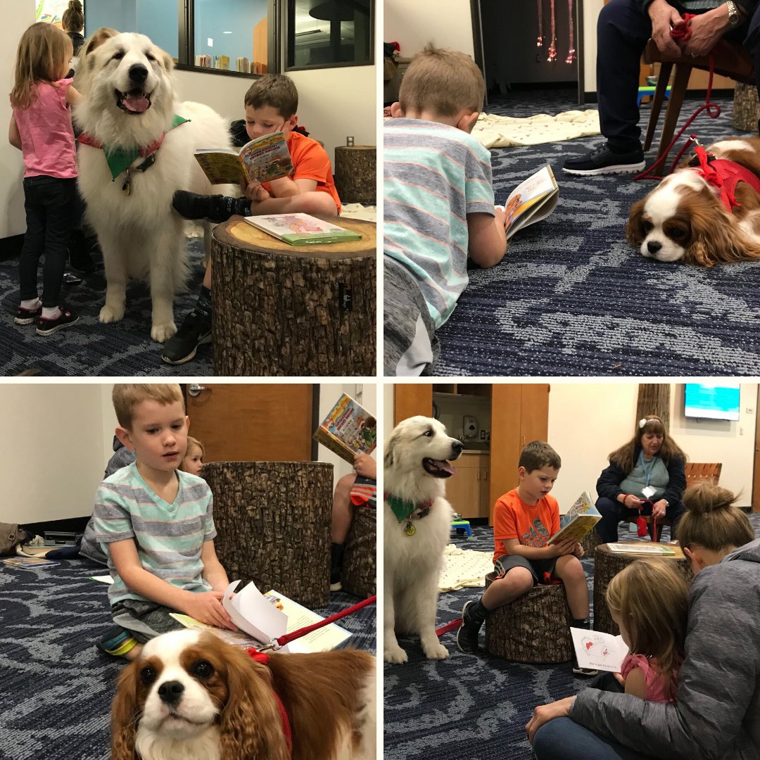 HillsboroLib's tweet photo. We had a full room at our Read to the Dogs program this past Thursday!! A big thank you our young readers, their families, and everyone else who stopped by to say hi to our two lovely furry pals, Pippa and Penny.
#hillsborolibrary #readtothedogs #wccls https://t.co/gh6xrJEXXq