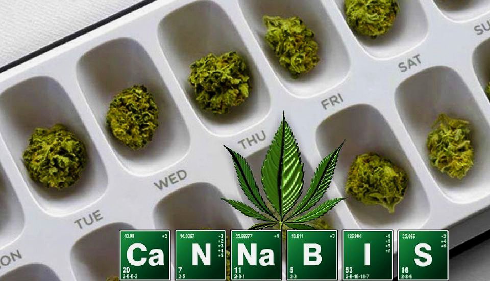 EcossiInc's tweet photo. The evidence keeps building that marijuana could be one of our most effective tools to combat the opioid abuse epidemic. A new study published this week in the International Journal of Drug Policy concluded that states with legal cannabis program showed lower rates of opioid use. https://t.co/Byhd0Vi75B