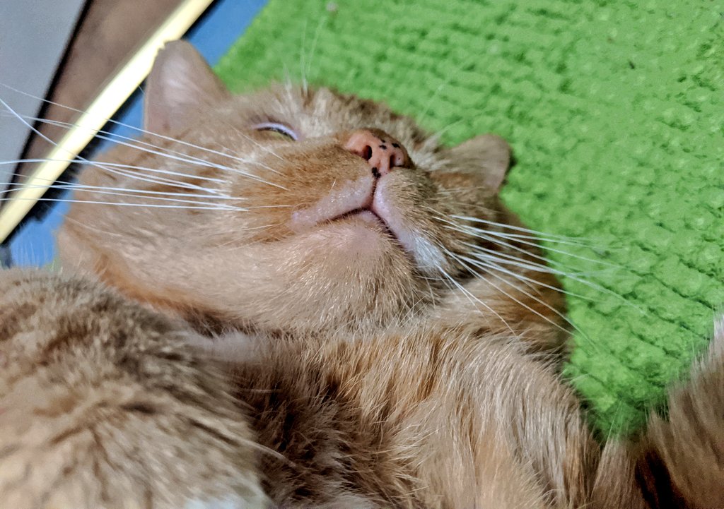 ime comfy ddonot move me