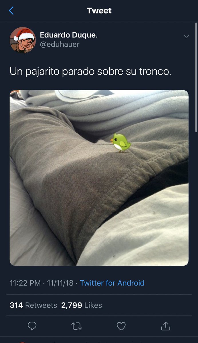 eduhauerfake (@tropicmqn)  X