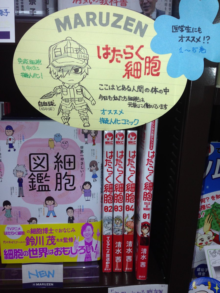 丸善お茶の水店 世界一やさしい 細胞図鑑 監修 鈴川茂 細胞博士 イラスト りゃんよ 新星出版社 T Co Utt6of3zcl はたらく細胞 清水茜 講談社 T Co Rmlqoid8yl 細胞博士が優しく教える細胞の本 T Co Duwn7slhxm