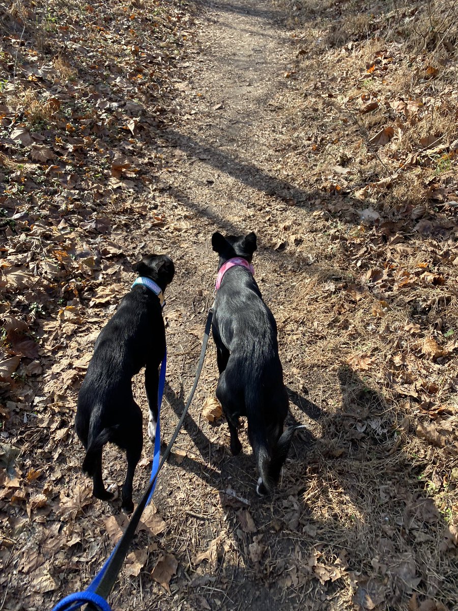 RxSQLKat's tweet image. A little nature therapy this morning.  What a great way to recharge for the week.